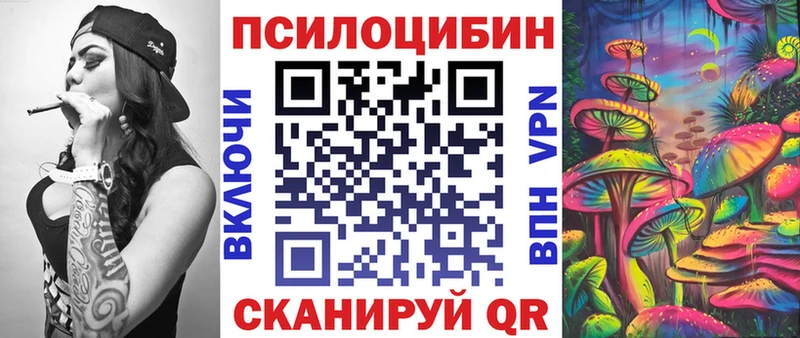 Псилоцибиновые грибы Psilocybe  где купить наркоту  Волхов 