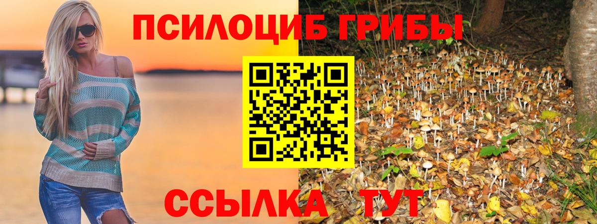 Галлюциногенные грибы MAGIC MUSHROOMS  купить   Псилоцибиновые грибы прущие грибы  Волхов  Вход с VPN 